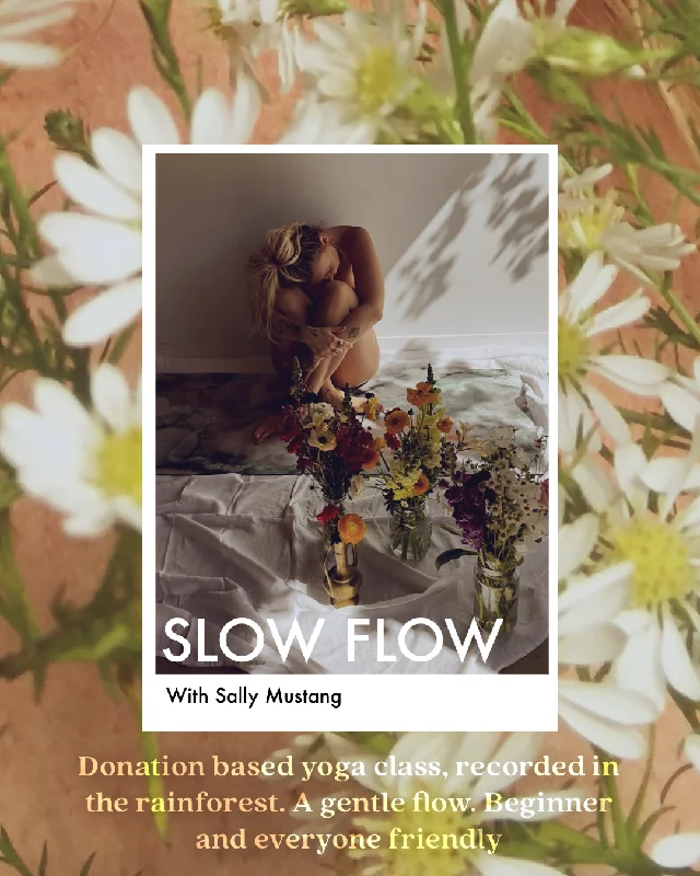 Premium Yoga Blocks And Straps At Lower Prices Rainforest Yoga Class with Sally Mustang